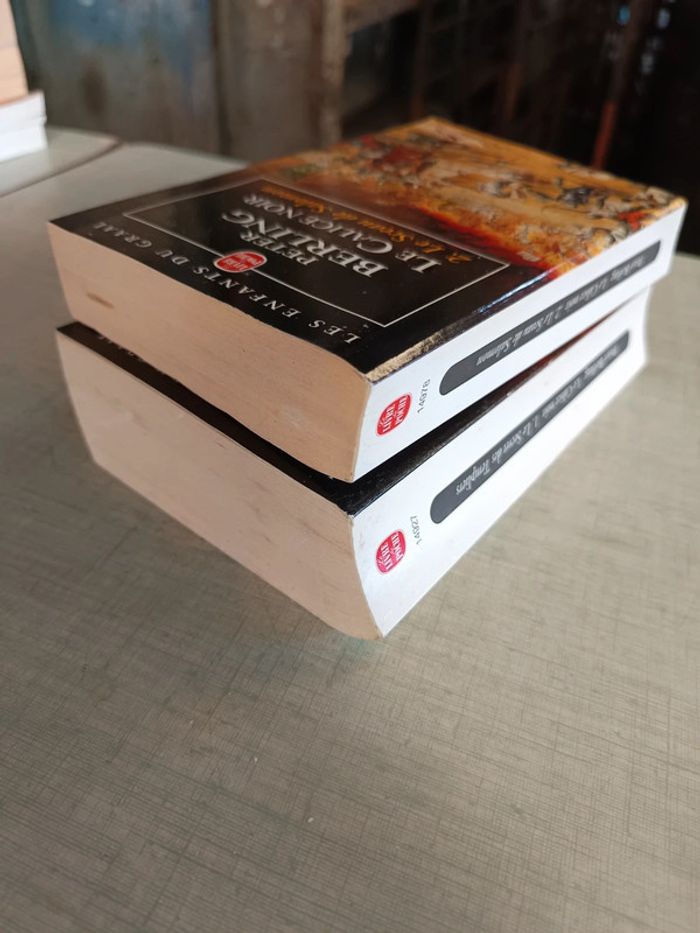 Lot 2 livres le calice noir 1 et 2 - photo numéro 4