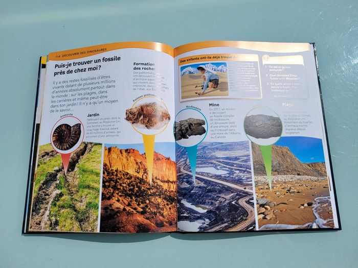 Questions ? Reponses! L'encyclopédie des dinosaures - photo numéro 10