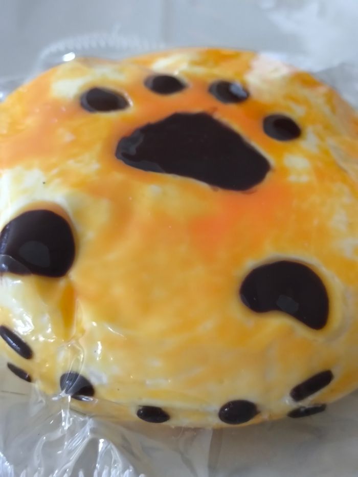 Squishy chat - photo numéro 5