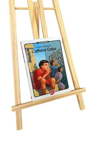 Roman jeunesse L'affaire Caius de Henry Winterfeld