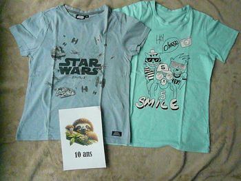 Lot de 2 tee-shirts garçon 10 ans (n°46)