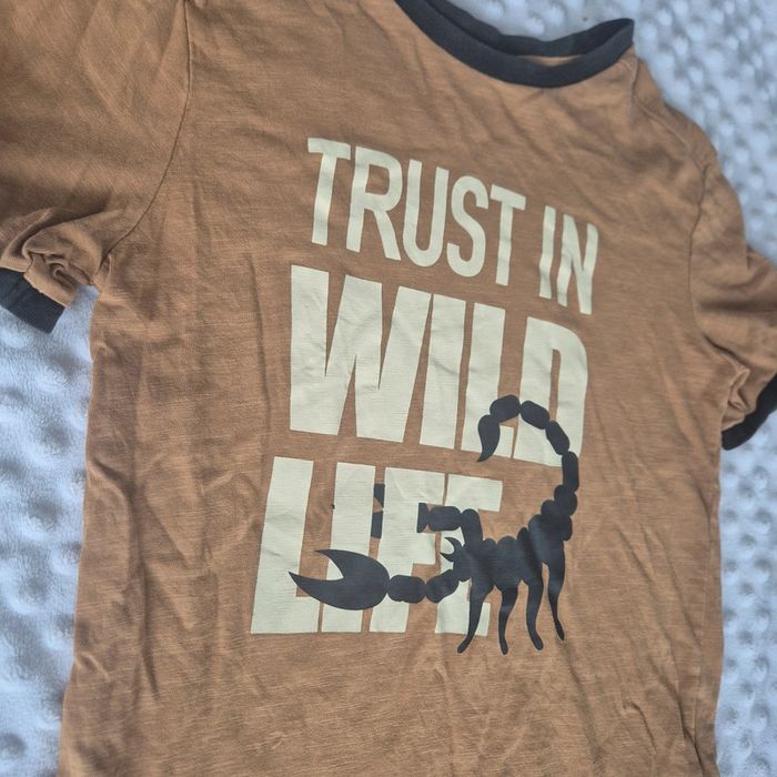 Jolie Tee-shirt manche courte 8 ans - photo numéro 2