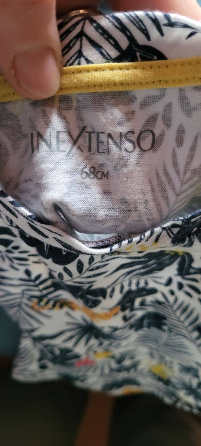 Tee-shirt savane - photo numéro 6