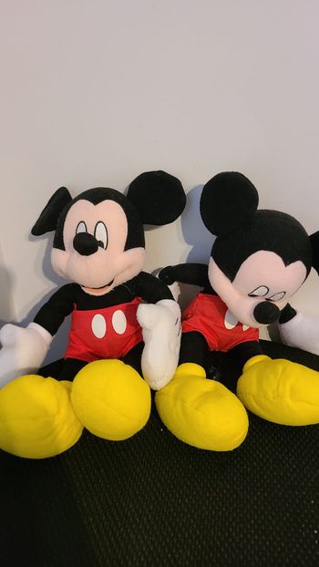 doudou mickey
