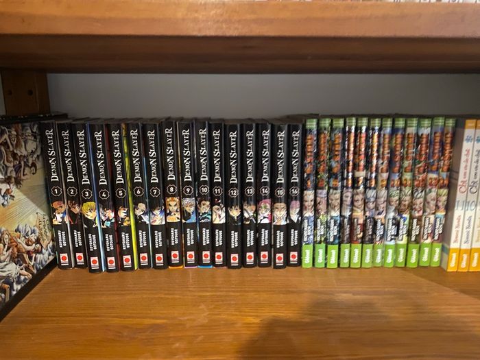 Lot manga demon slayers