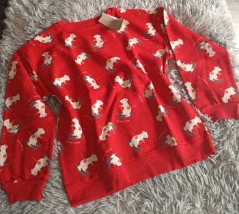 Pull 12 ans mixte 💐