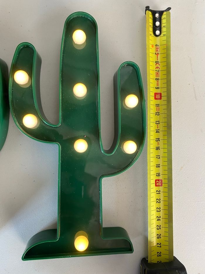 Cactus - photo numéro 3