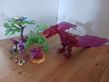 Gardienne des fées avec dragons 71586