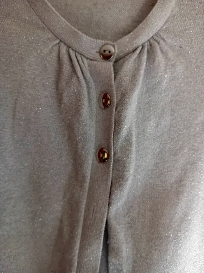 Gilet gris argenté Lisa Rose T 12 ans - photo numéro 3