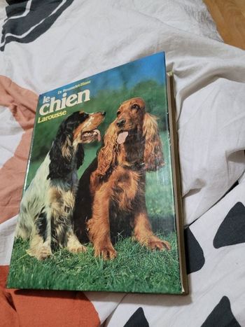 Le chien