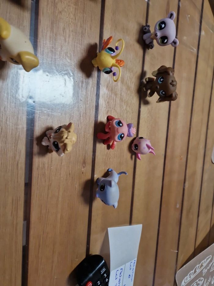 Lot petshop (7) - photo numéro 13