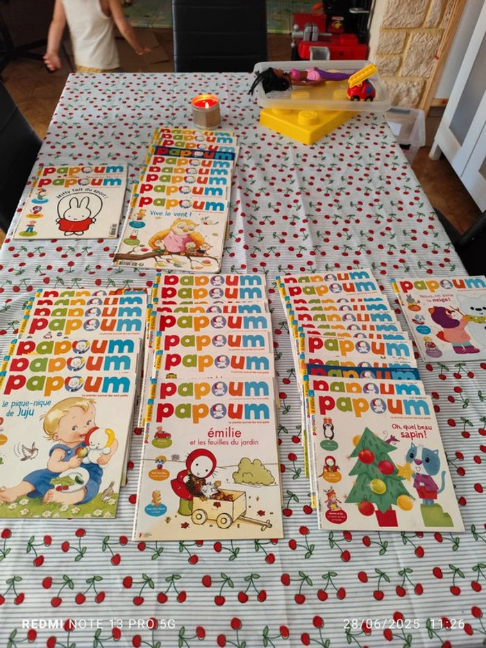 Lot papoum 40 livres dont une année complète - photo numéro 2