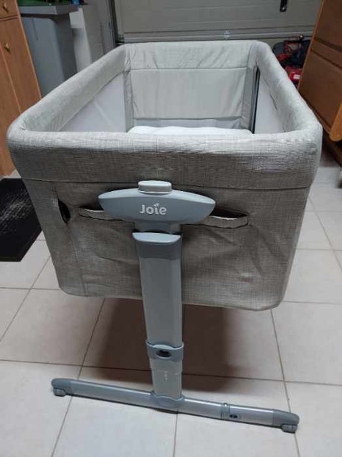 Cododo joie - photo numéro 3