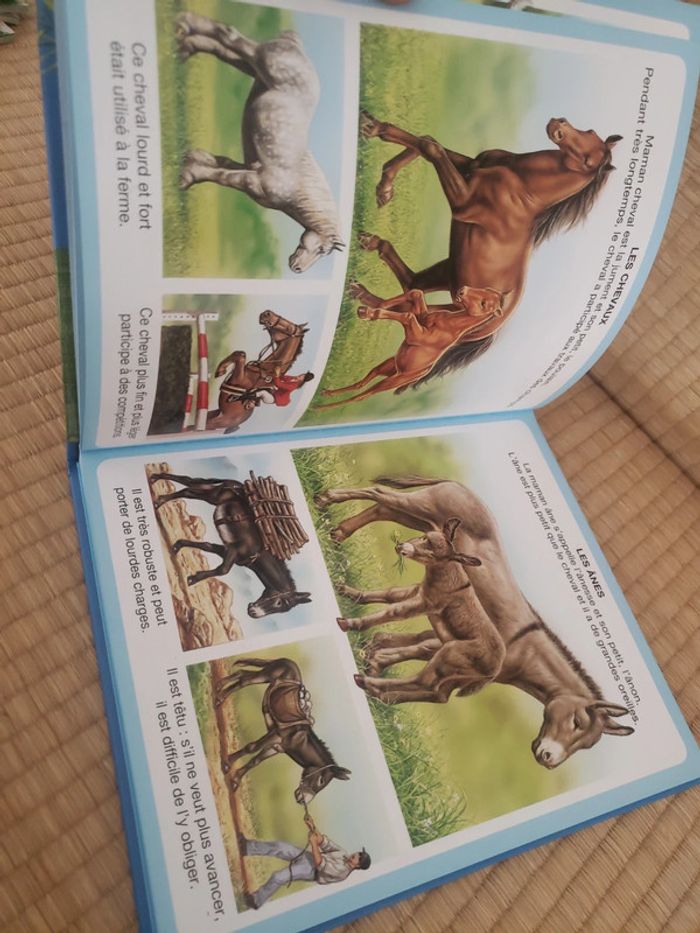 L'imagerie des animaux - photo numéro 5