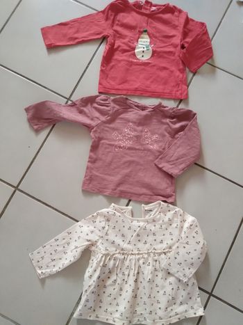 Lot 3 tee shirt manches longues