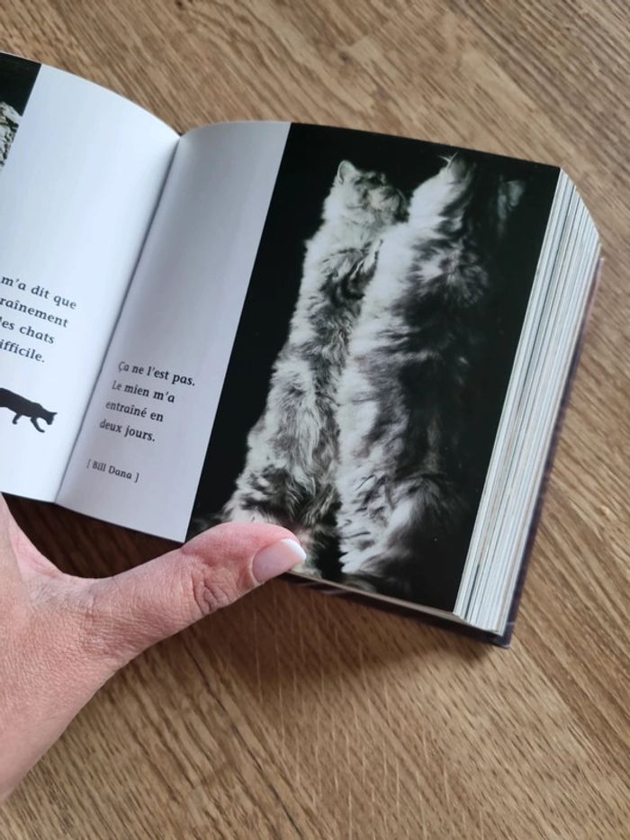 Livre Chats - photo numéro 5
