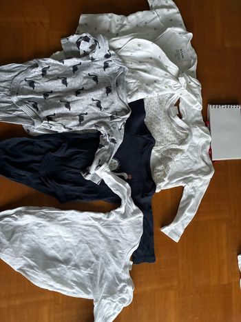 Lot 6 bodies.   Lot 6