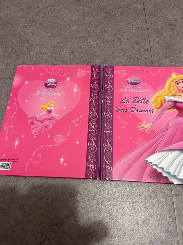La belle au bois dormant - photo numéro 4