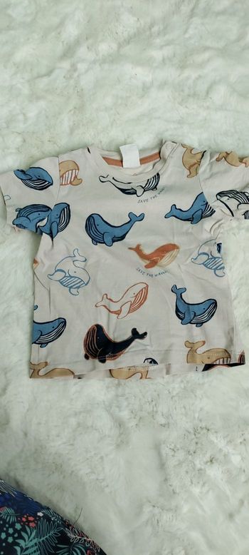 Tee shirt manches courtes