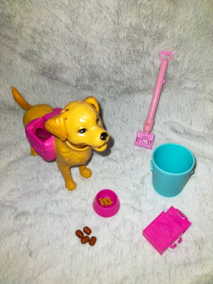 Chien de barbie - photo numéro 4