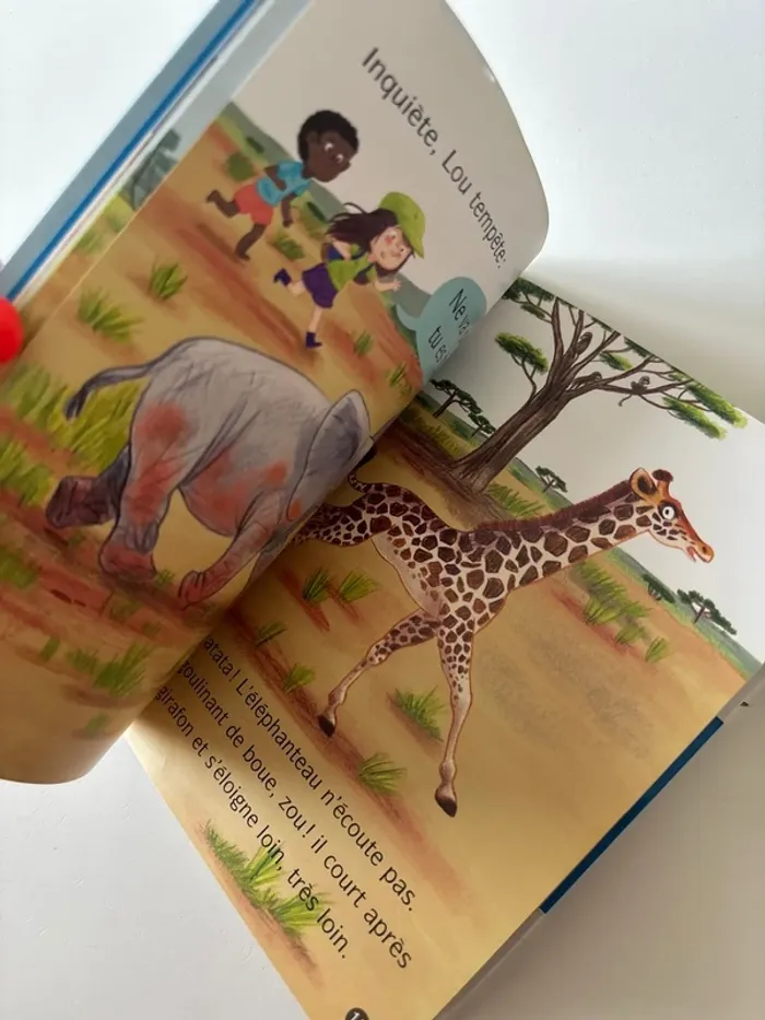 Livre les animaux de lou - photo numéro 7