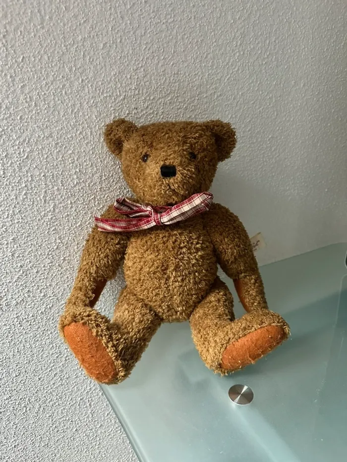 Ours Teddy