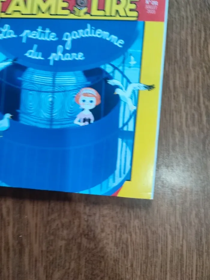 Livre la petite gardienne du phare - photo numéro 3
