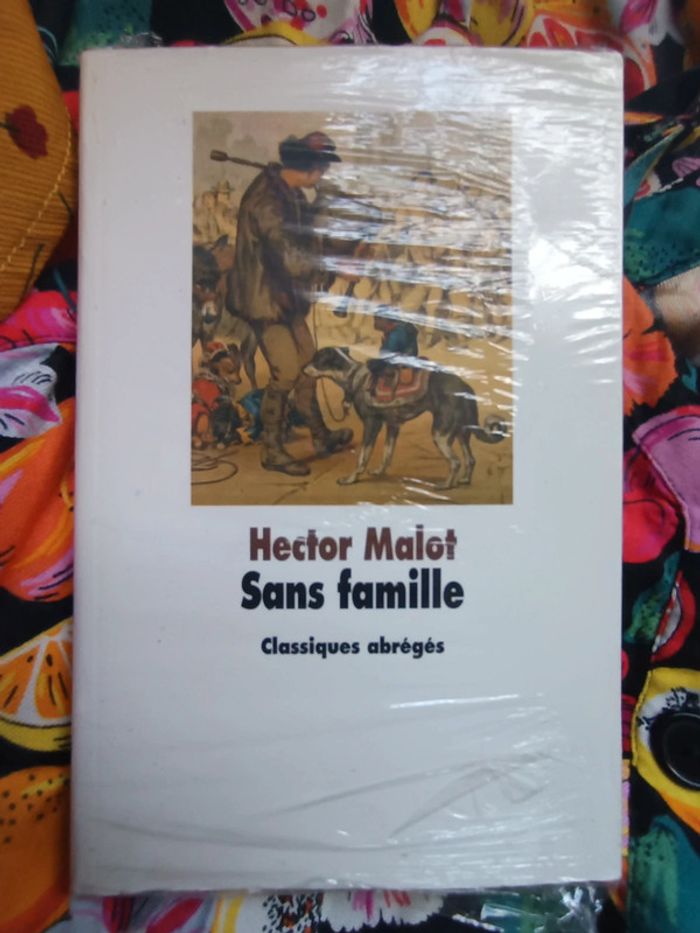 Livre sans famille Hector Malot classiques abrégés