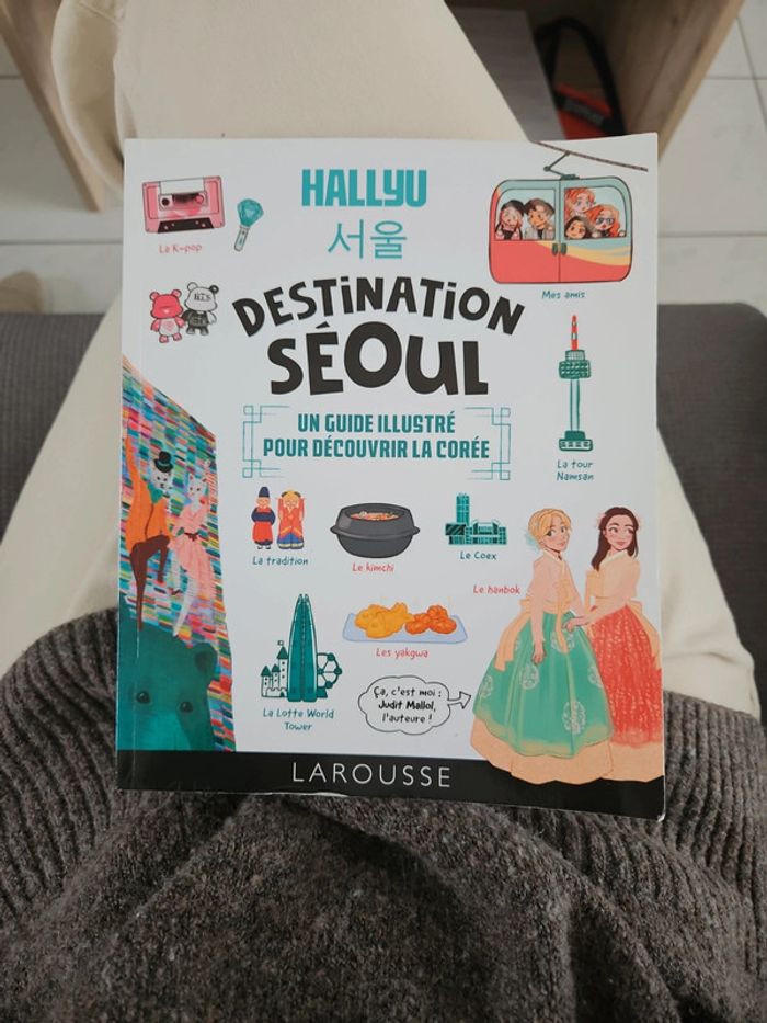 Guide illustré Destination Seoul