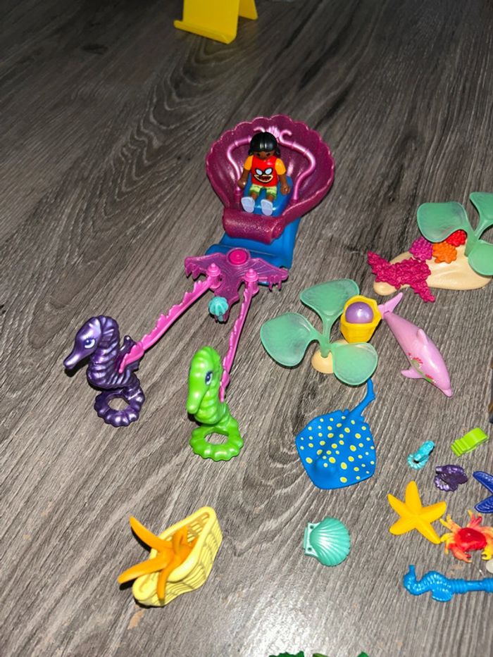 Char de princesse Playmobil avec accessoires - photo numéro 5