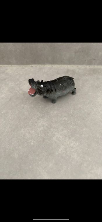 Hippopotame