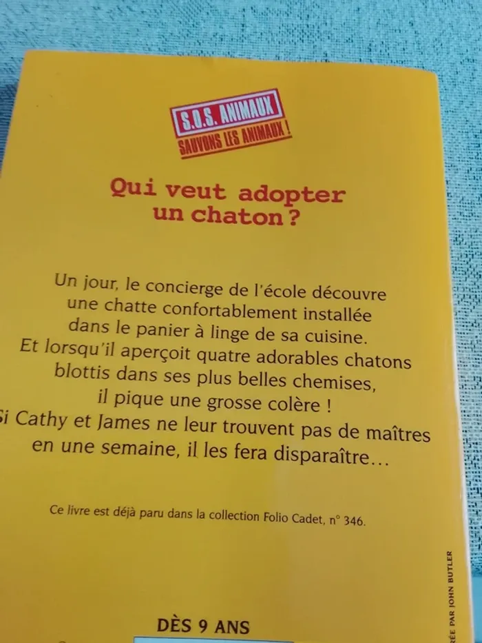 Qui veut adopter un petit chaton ?
