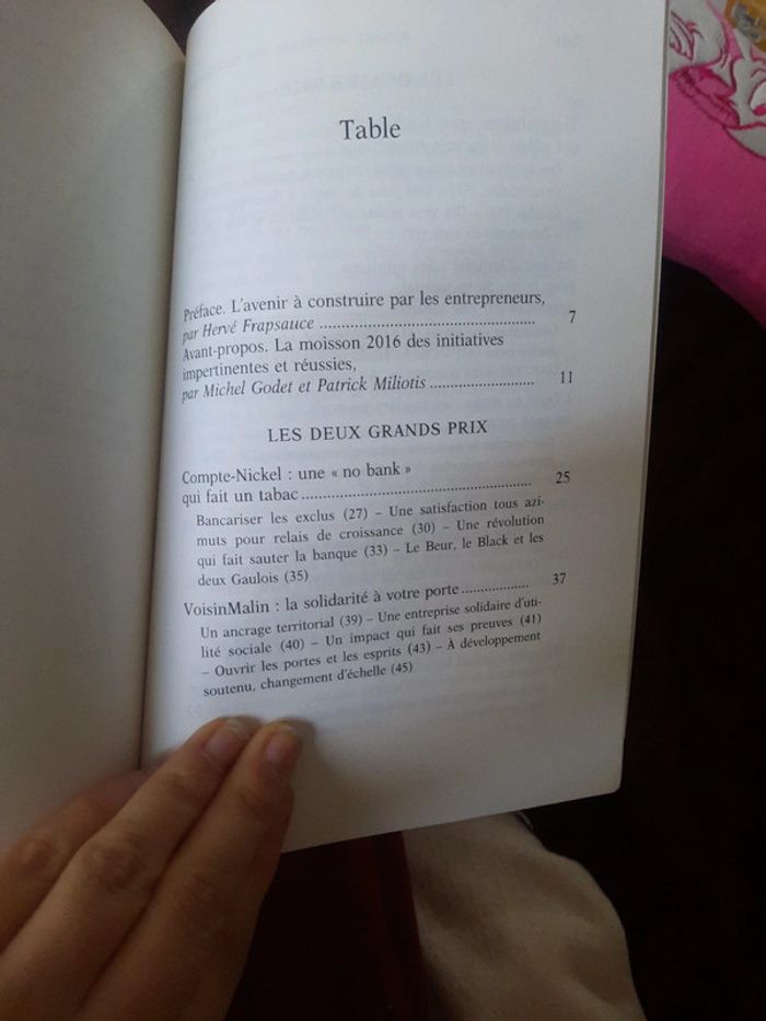 Livre bonnes nouvelles des territoires - photo numéro 6