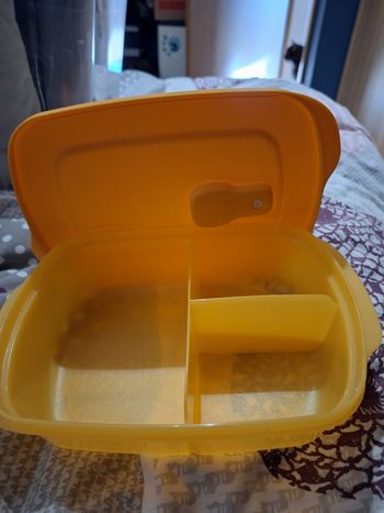 Boite dîner tuppewarre neuve 