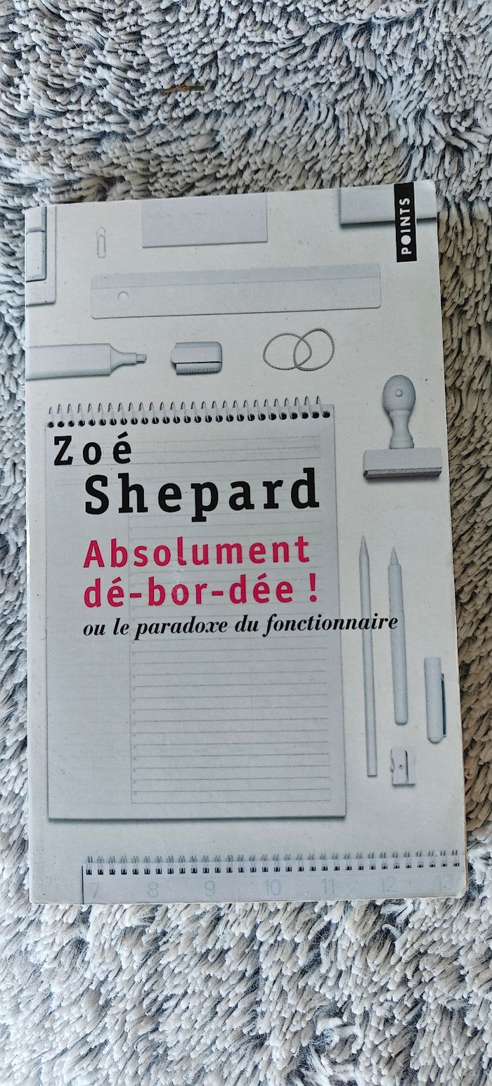 Livre Absolument débordée - photo numéro 2