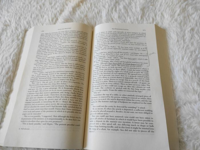The selected writings of Edgar Allan Poe - photo numéro 3