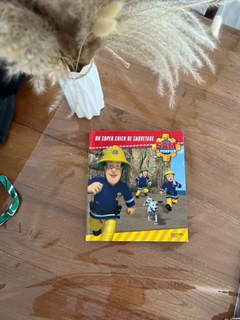 Un super chien de sauvetage