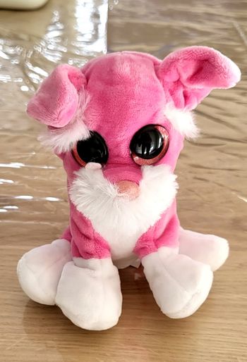 Peluche chien Splash Toys neuve