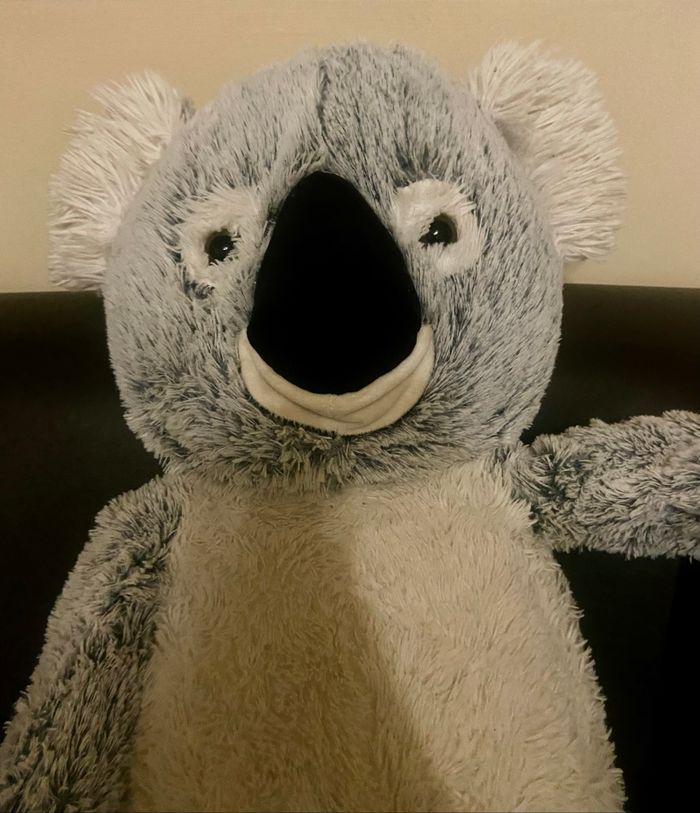 Peluche géante »Choux Bidou »koala - photo numéro 2