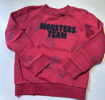 Pull TAO t. 8 ans