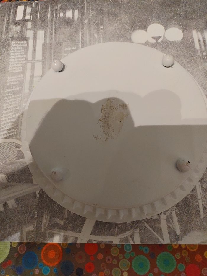 Soucoupe de Pot fleurs - photo numéro 2