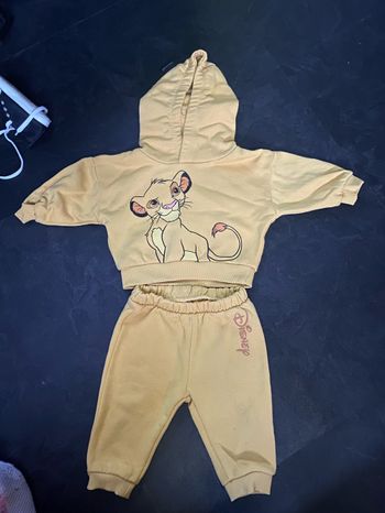 Ensemble Simba