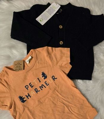 Neufs (non portés) 🏷🤩😍 gilet et teeshirt mc 18mois garçon 😍🤩💙