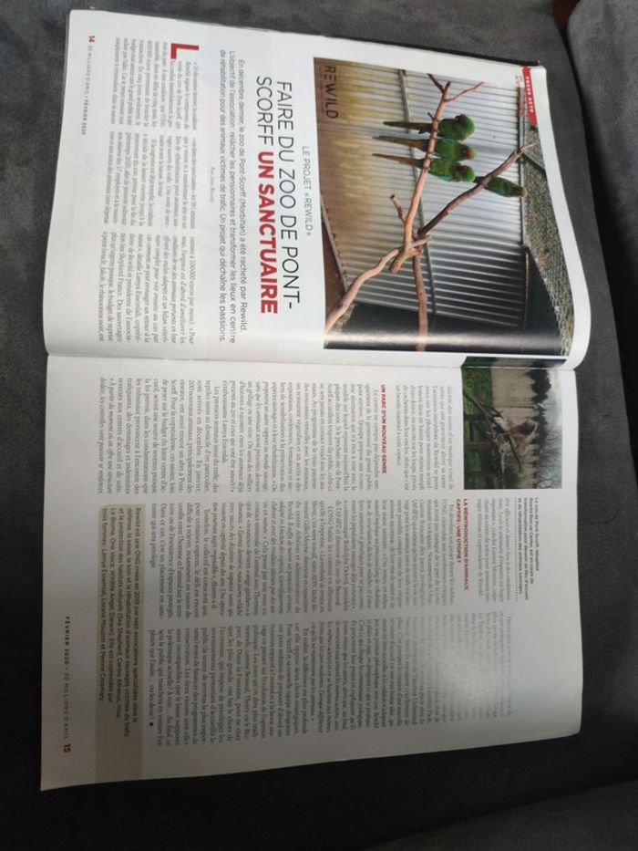 Magazine 30 millions d'amis numéro 381 février 2020 - photo numéro 4
