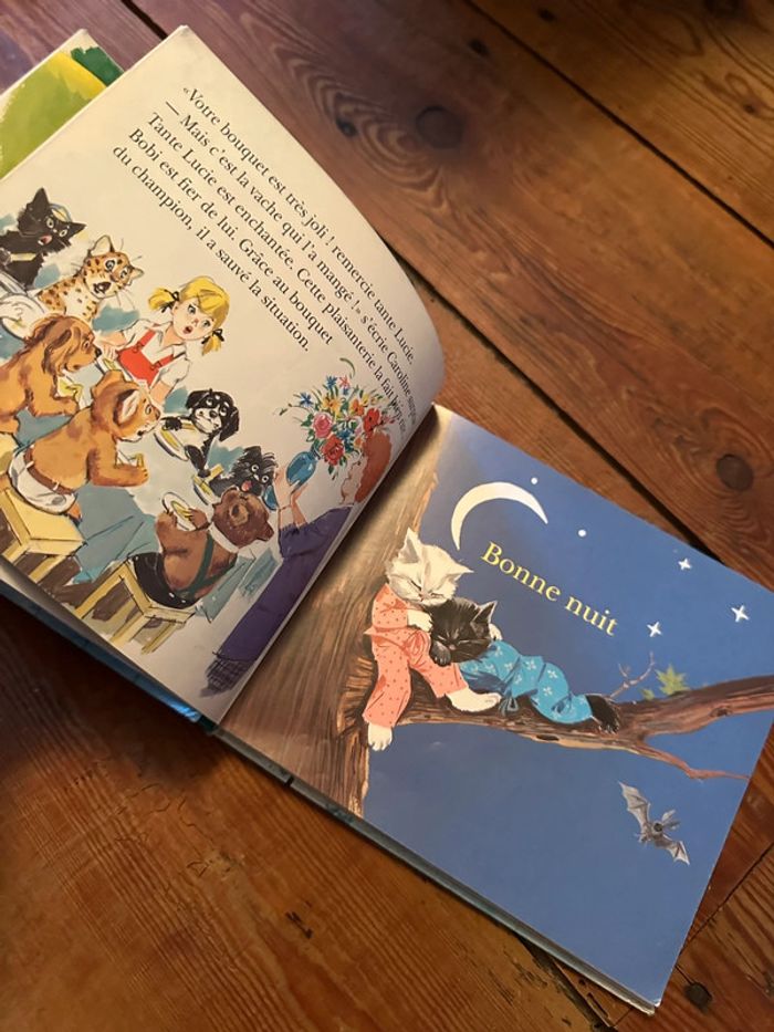 Livre album rare Hachette Pierre Probst Caroline Les 7 câlins de la semaine semainier volets - photo numéro 7