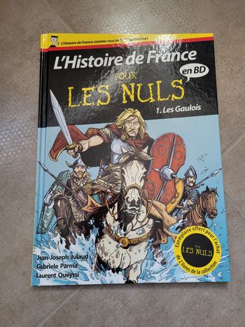 L'histoire de France pour les nuls numéro 1 les gaulois