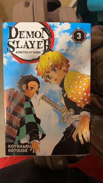 Manga démon slayer