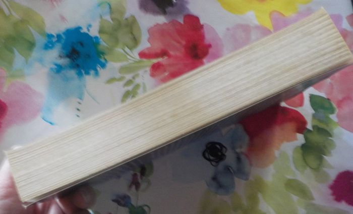 Le Parlement des Fées T2 L'Art de la Mémoire de John Crowley Ed. Terre de Brume - photo numéro 4