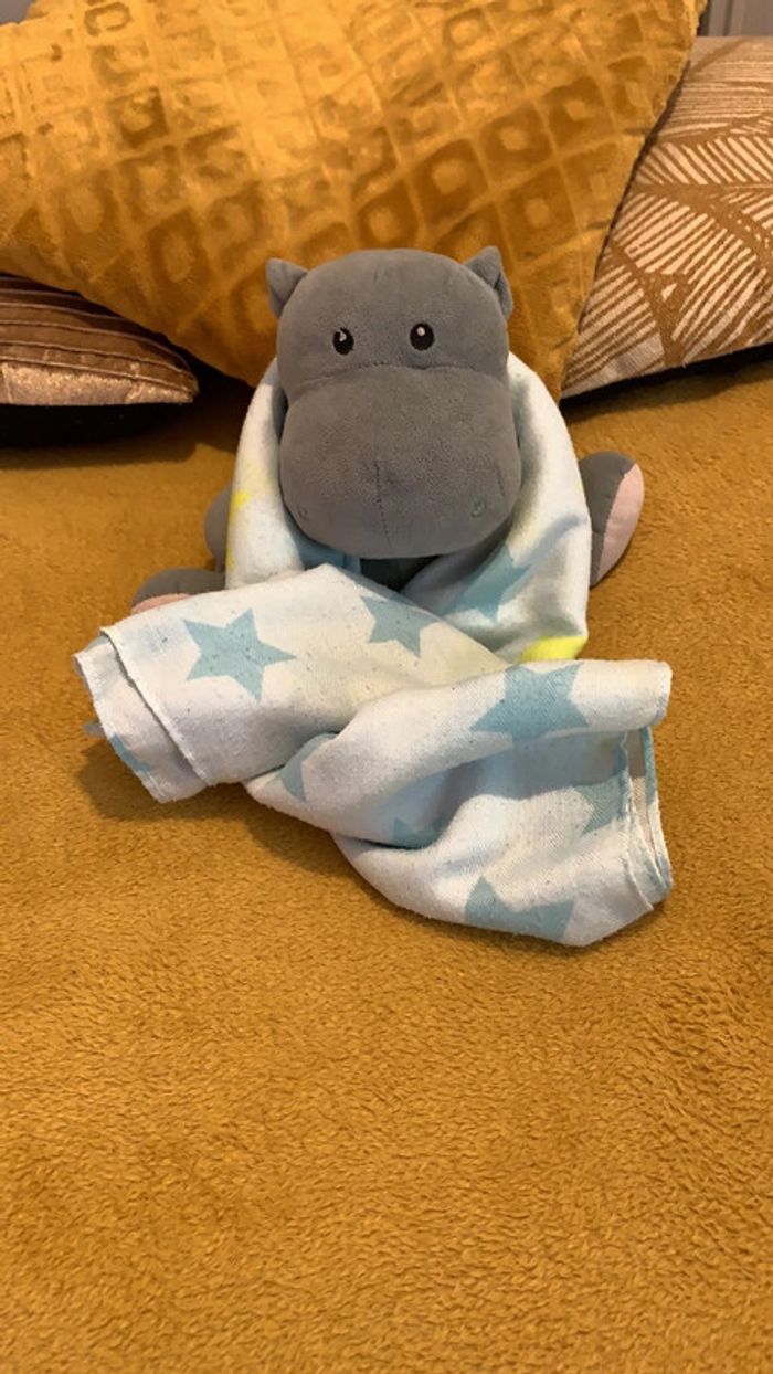 Écharpe/Foulard - photo numéro 7