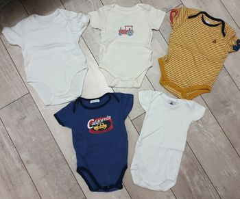 Lot de 5 bodies manches courtes